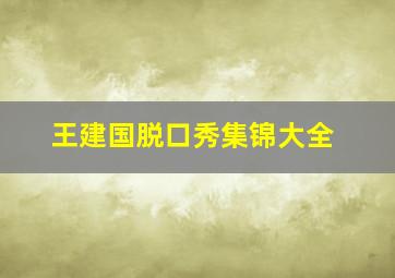 王建国脱口秀集锦大全