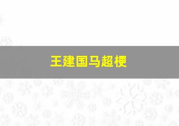 王建国马超梗