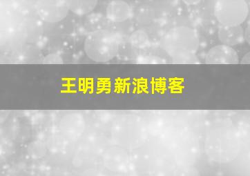 王明勇新浪博客