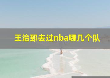 王治郅去过nba哪几个队