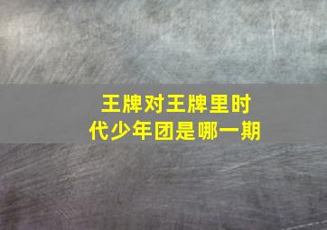 王牌对王牌里时代少年团是哪一期