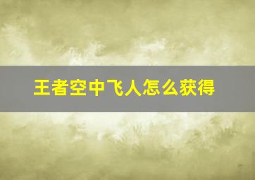 王者空中飞人怎么获得