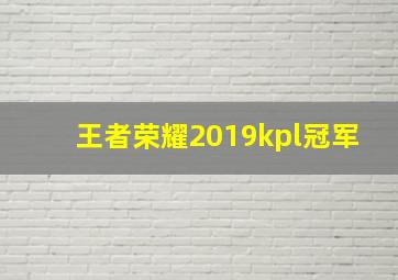 王者荣耀2019kpl冠军