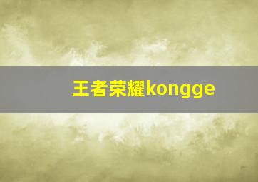 王者荣耀kongge