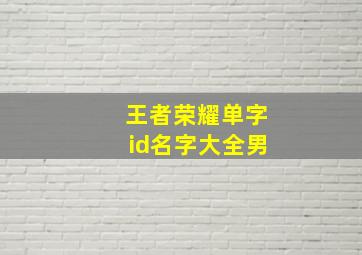 王者荣耀单字id名字大全男