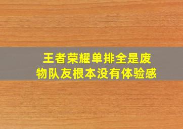 王者荣耀单排全是废物队友根本没有体验感