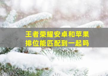 王者荣耀安卓和苹果排位能匹配到一起吗