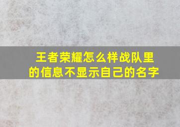 王者荣耀怎么样战队里的信息不显示自己的名字