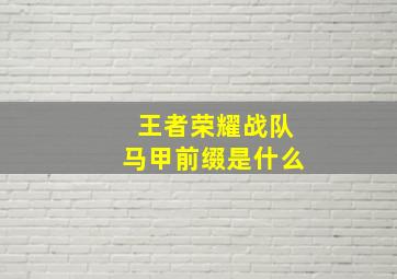 王者荣耀战队马甲前缀是什么