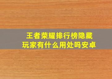 王者荣耀排行榜隐藏玩家有什么用处吗安卓