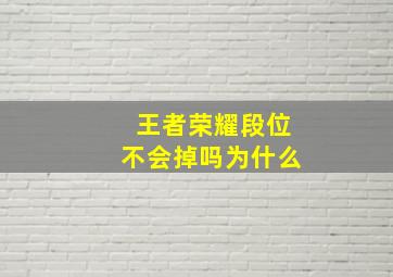 王者荣耀段位不会掉吗为什么