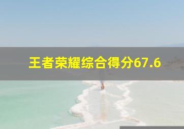 王者荣耀综合得分67.6