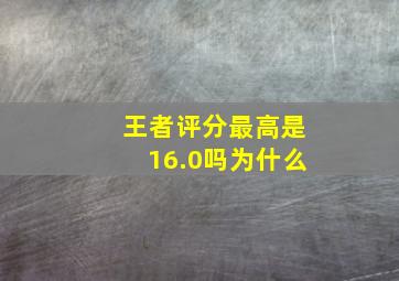 王者评分最高是16.0吗为什么