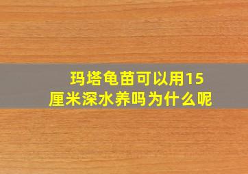 玛塔龟苗可以用15厘米深水养吗为什么呢