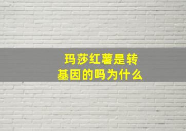 玛莎红薯是转基因的吗为什么