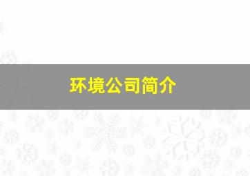 环境公司简介