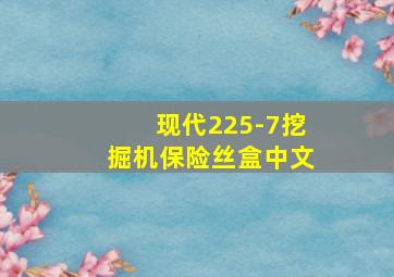 现代225-7挖掘机保险丝盒中文