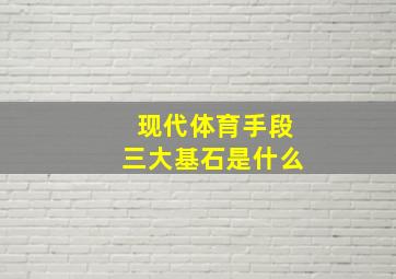 现代体育手段三大基石是什么