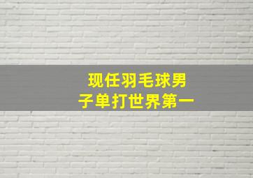 现任羽毛球男子单打世界第一