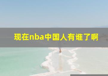 现在nba中国人有谁了啊