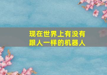 现在世界上有没有跟人一样的机器人