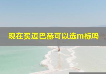 现在买迈巴赫可以选m标吗