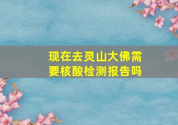 现在去灵山大佛需要核酸检测报告吗