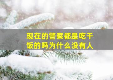 现在的警察都是吃干饭的吗为什么没有人