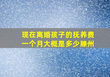 现在离婚孩子的抚养费一个月大概是多少滕州