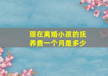 现在离婚小孩的抚养费一个月是多少