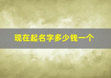 现在起名字多少钱一个