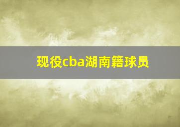 现役cba湖南籍球员