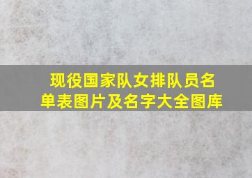 现役国家队女排队员名单表图片及名字大全图库