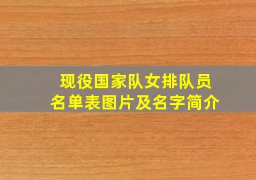 现役国家队女排队员名单表图片及名字简介