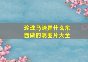 珍珠马蹄是什么东西做的呢图片大全