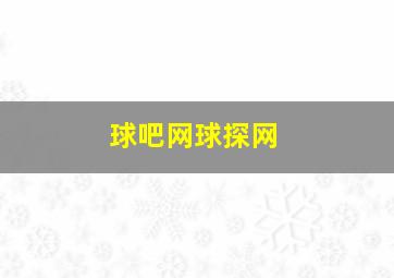 球吧网球探网