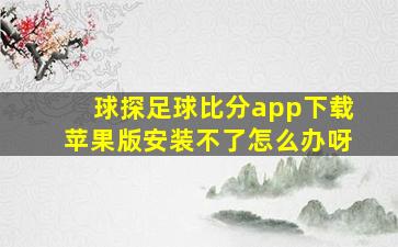 球探足球比分app下载苹果版安装不了怎么办呀