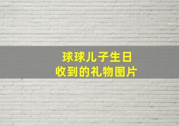 球球儿子生日收到的礼物图片