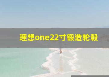 理想one22寸锻造轮毂