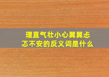 理直气壮小心翼翼忐忑不安的反义词是什么