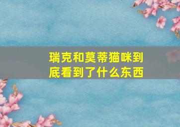 瑞克和莫蒂猫咪到底看到了什么东西