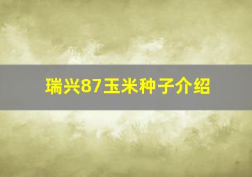 瑞兴87玉米种子介绍