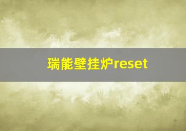 瑞能壁挂炉reset