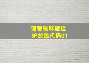 瑰都啦咪壁挂炉故障代码01