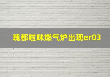 瑰都啦咪燃气炉出现er03