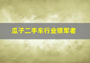 瓜子二手车行业领军者