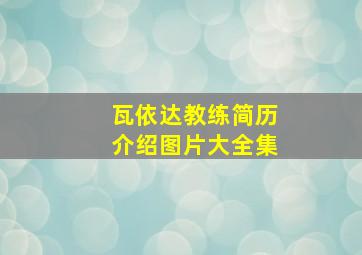 瓦依达教练简历介绍图片大全集