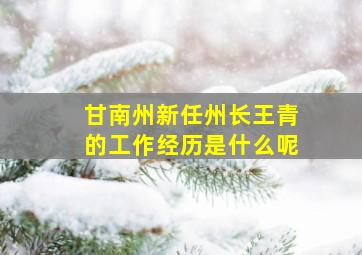 甘南州新任州长王青的工作经历是什么呢