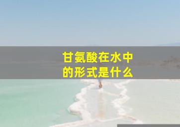 甘氨酸在水中的形式是什么