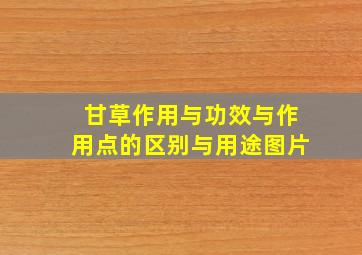 甘草作用与功效与作用点的区别与用途图片